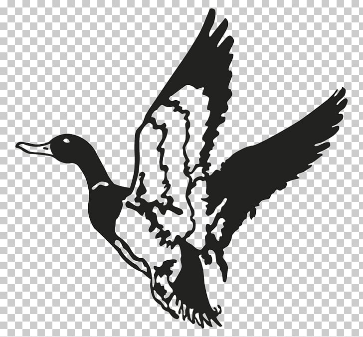 Waterfowl Hunting Png Cliparts For Free Download Uihere