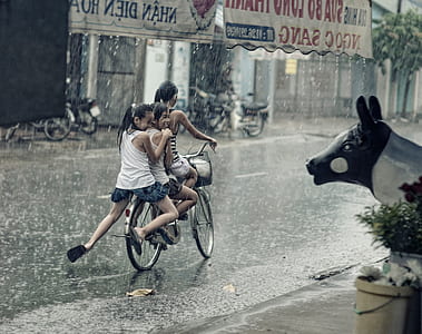three person riding on bicycle while raining thumbnail