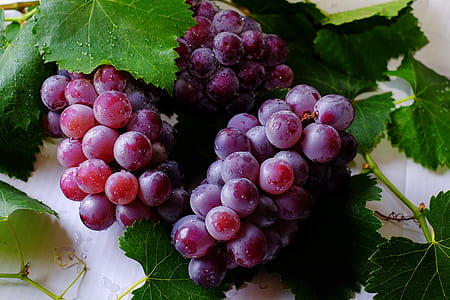 Grape Fruits thumbnail