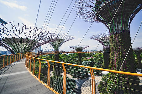 yellow bridge photography thumbnail