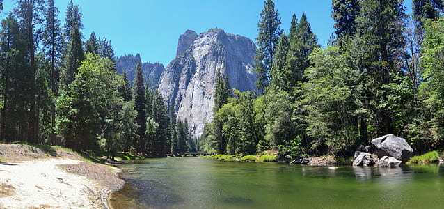 green pine trees and lake thumbnail