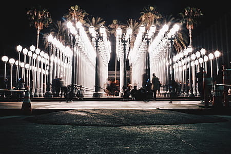 people sitting on stair between palm tree and street lamp thumbnail