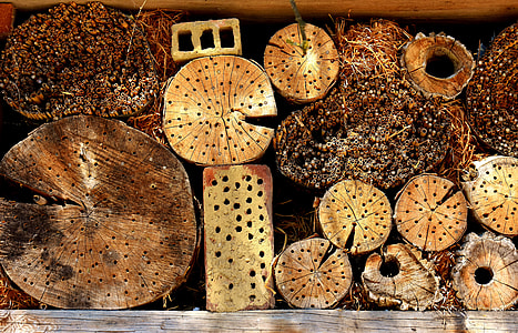 Insect Hotel, Insect House thumbnail
