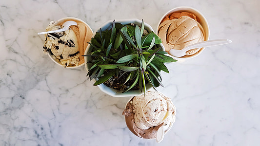 flat lane photography of ice creams near plant thumbnail