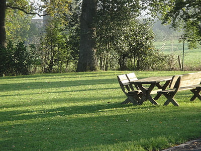 picnic table at the park during daytime thumbnail