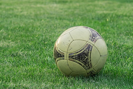 white and black soccer ball on grass field thumbnail