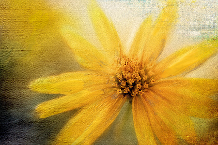 closeup photography of yellow daisy flower painting thumbnail