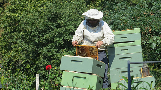 person's black bee suit thumbnail