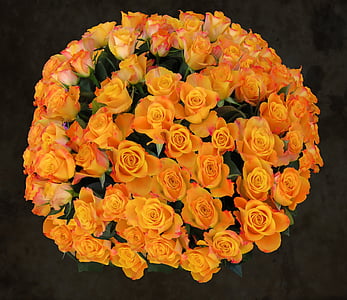 yellow petaled flowers thumbnail