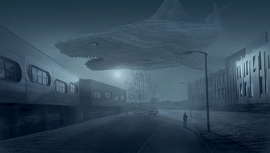 person watching shark illustration thumbnail