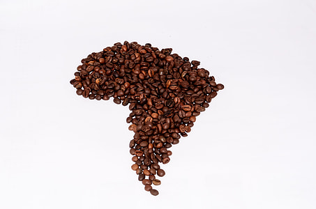Beans in the Shape of South America thumbnail