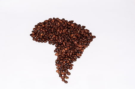 bundle of coffee beans thumbnail