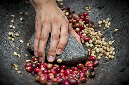person grinding red beans thumbnail