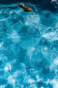 Pineapple in a swimming pool thumbnail