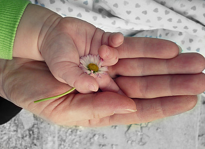 person laying hand on baby hand holding white flower thumbnail