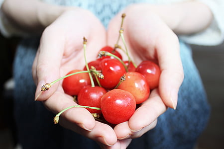 closeup photography of person carrying handful of cherry thumbnail