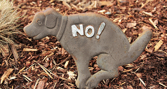 gray dog statuette in top of wood chips at daytime thumbnail
