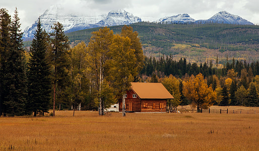 brown wooden house near trees thumbnail