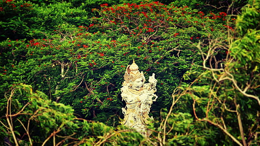 Beige Hindu Statue Surrounded by Trees at Daytime thumbnail