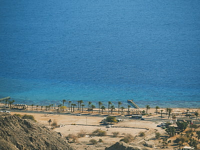 aerial photography of trees beside water thumbnail
