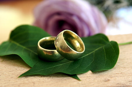 two gold-colored rings on green leaf thumbnail