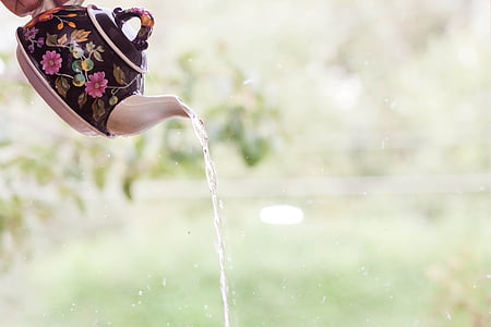 black, white, and pink floral teapot pouring water thumbnail