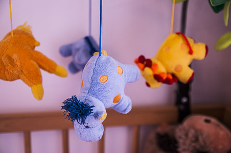 baby's assorted color hanging animal activity center thumbnail