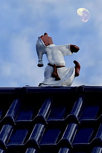 person sleep walking on the roof thumbnail