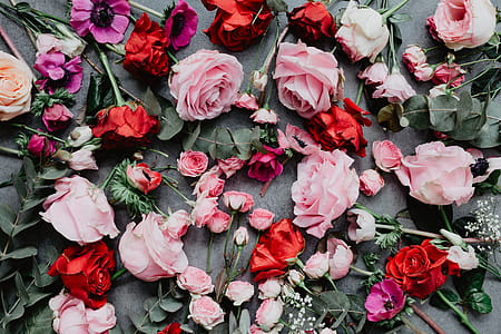 Composition of flowers thumbnail