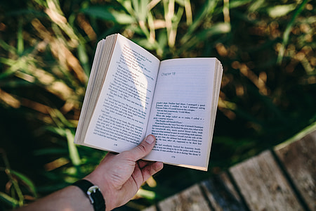 Reading book at lake thumbnail