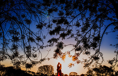 silhouette, man and woman, tree, together thumbnail