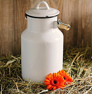 white ceramic canister thumbnail