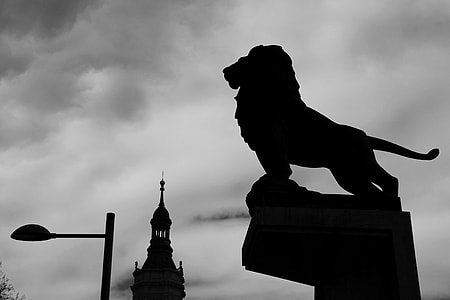 grayscale photo of lion statue thumbnail