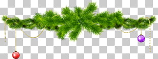 2016–17 UEFA Champions League Real Madrid C.F. Manchester United F.C. FC Barcelona Manchester City F.C., Transparent Pine Branch with Christmas Balls , green garland PNG clipart
