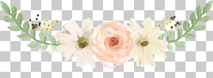 Breakfast Brunch Eggs Benedict French toast Pancake, Flower Plants, white and pink petaled flowers illustartion PNG clipart