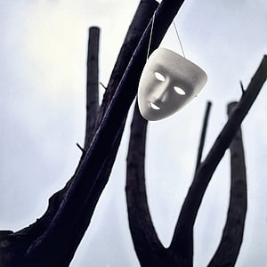 white face mask on tree branch thumbnail