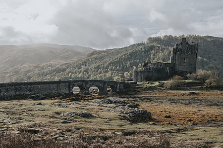 gray castle near trees thumbnail