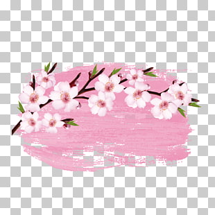 Cherry blossom Branch, Watercolor Japanese cherry blossoms, pink cherry blossom flowers PNG clipart