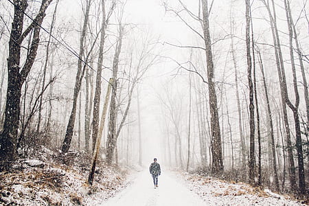 man walking in pathway during winter thumbnail
