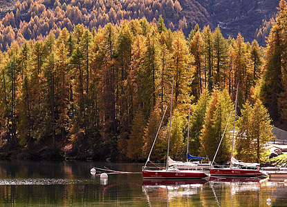 red and white boats on calm body of water near trees during daytime thumbnail