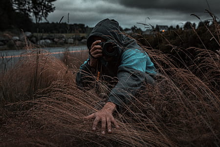 person holding withered grasses during daytime thumbnail