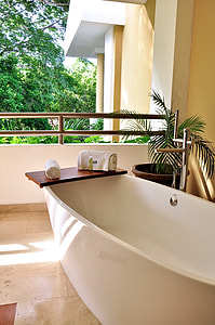 white bathtub beside linear leafed plant thumbnail