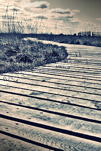 filtered photography of wooden dock overlooking grassy fieldds thumbnail