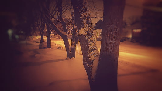 Pavement Covered With Snow Beside Road thumbnail