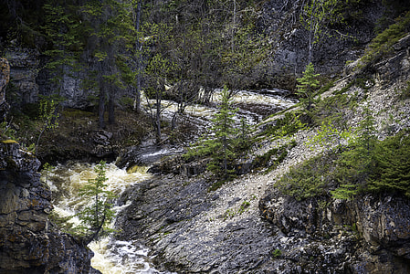 Downstream Scenery at McNallie Creek thumbnail