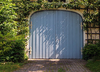closed blue gate surrounded by green leafed plant thumbnail