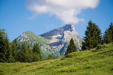closeup photo of mountains and forest trees thumbnail