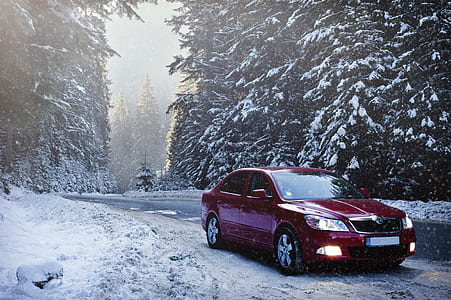 cold, snow, road, landscape thumbnail
