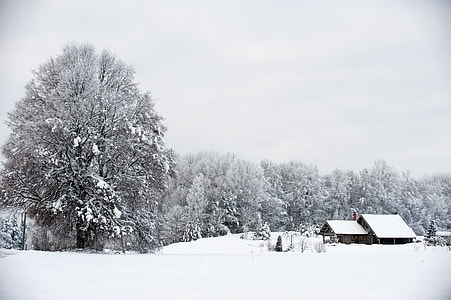 Snowy landscape with winter house thumbnail