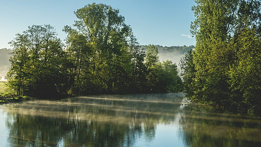nature, sky, water, forest thumbnail
